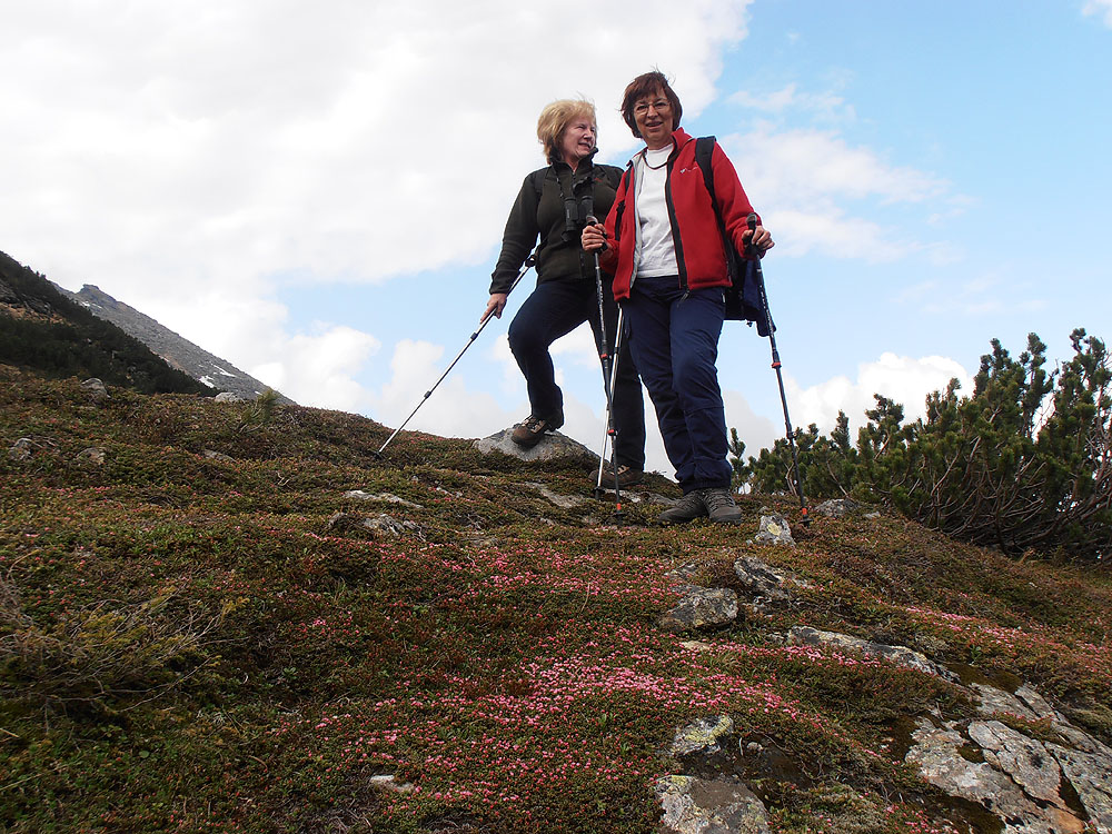 Wandern in Donnersbachwald