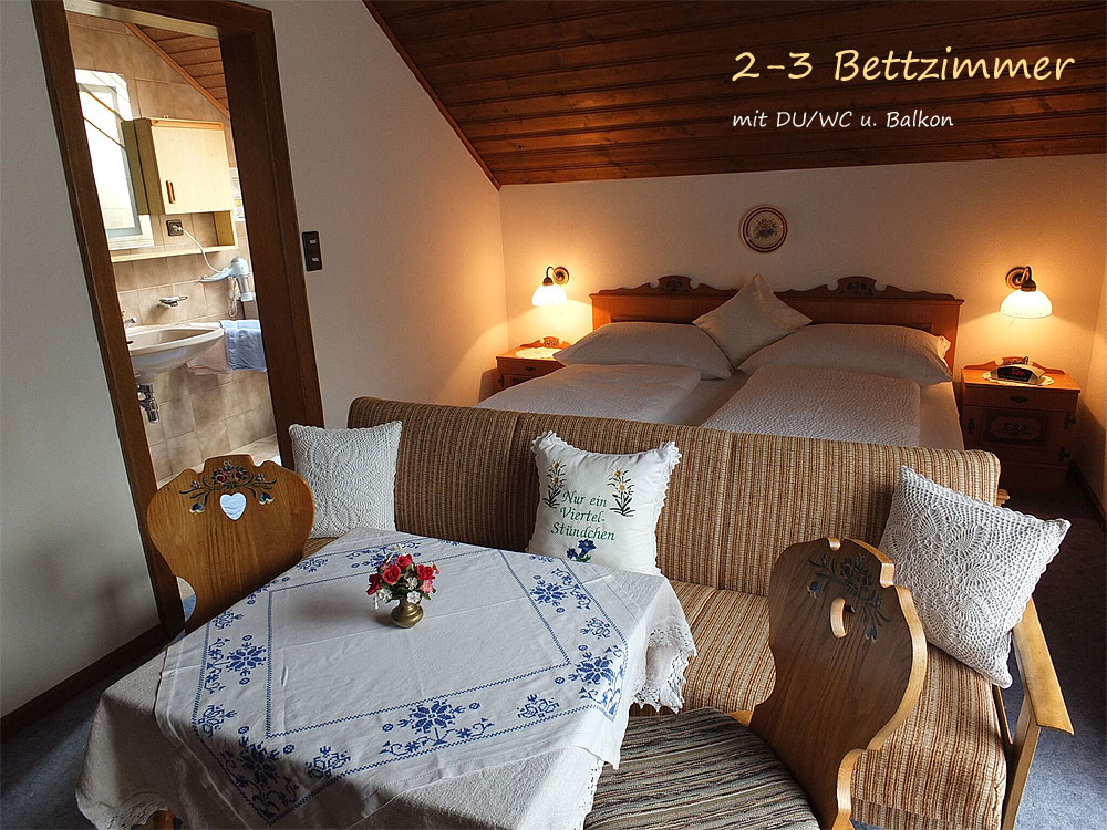 Haus-Rudorfer-Zimmer-Dusche